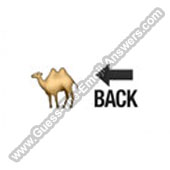 Camel Back 