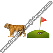 Tiger Woods 